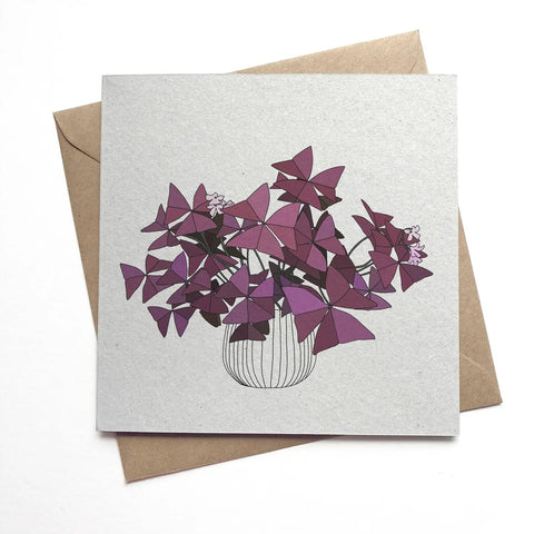 Kate Broughton Oxalis Triangularis Houseplant Card