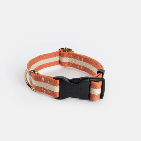 Orange & Cream Stripe Dog Collar, Caroline Gardner