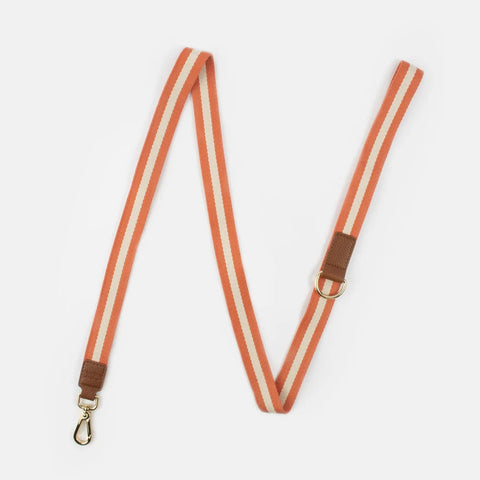 Orange & Cream Stripe Dog Lead, Caroline Gardner