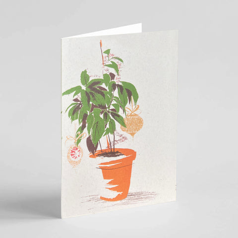 Ben Rogers Christmas Plant Card