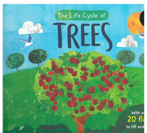 Life Cycle of Trees