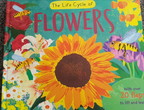 Life Cycle of Flowers